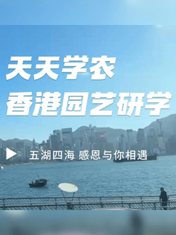 与香港园艺学会联合举办香港园艺研学，专业园境师带队讲解。