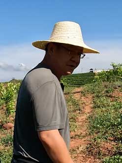 农业人叶涛，50多岁通讯人跨界搞农业，他要用1000万打造一个梦。